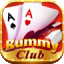 rummy lagel logo
